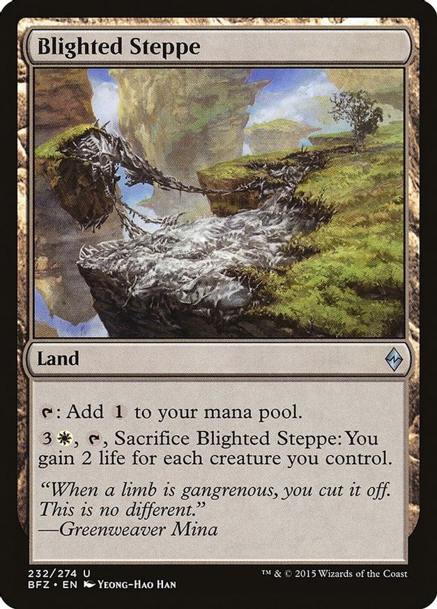 Blighted Steppe | 232 | Battle for Zendikar