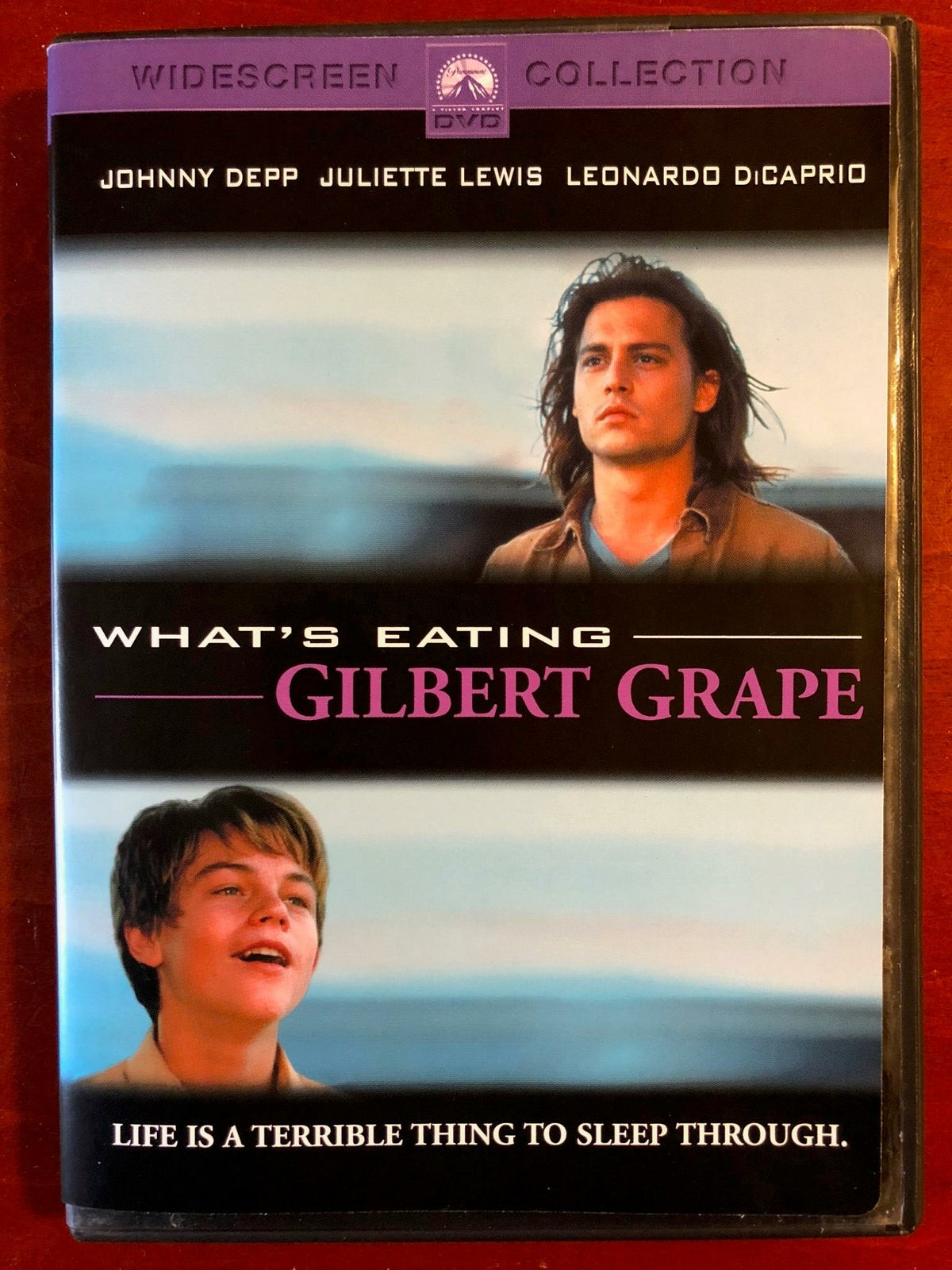 Whats Eating Gilbert Grape (DVD, 1993) - L05