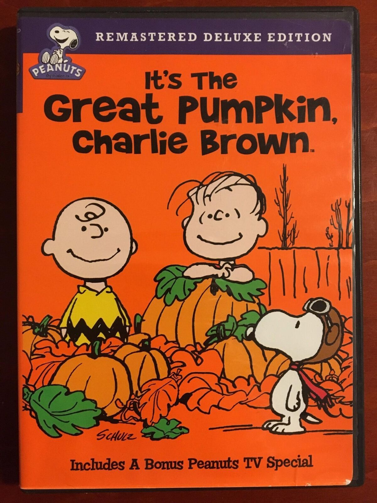 Its The Great Pumpkin, Charlie Brown (DVD, 1966, Halloween) - L05