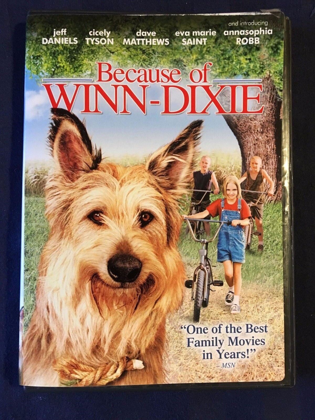 Because of Winn-Dixie (DVD) - K9