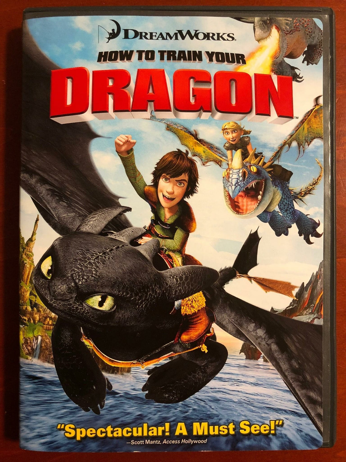 How to Train Your Dragon (DVD, 2010) - L02