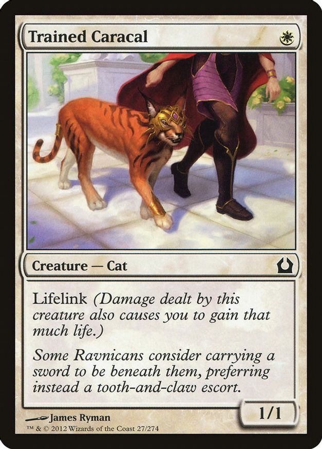 Trained Caracal | 27 | Return to Ravnica