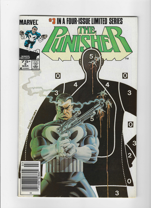 The Punisher, Vol. 1 #3