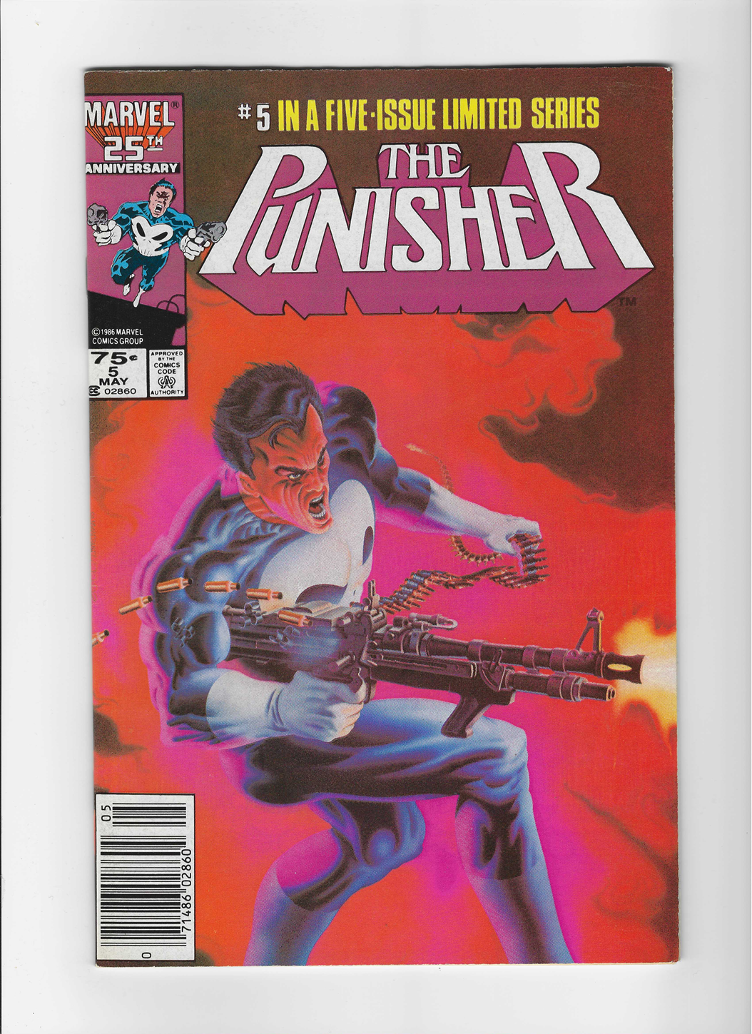 The Punisher, Vol. 1 #5