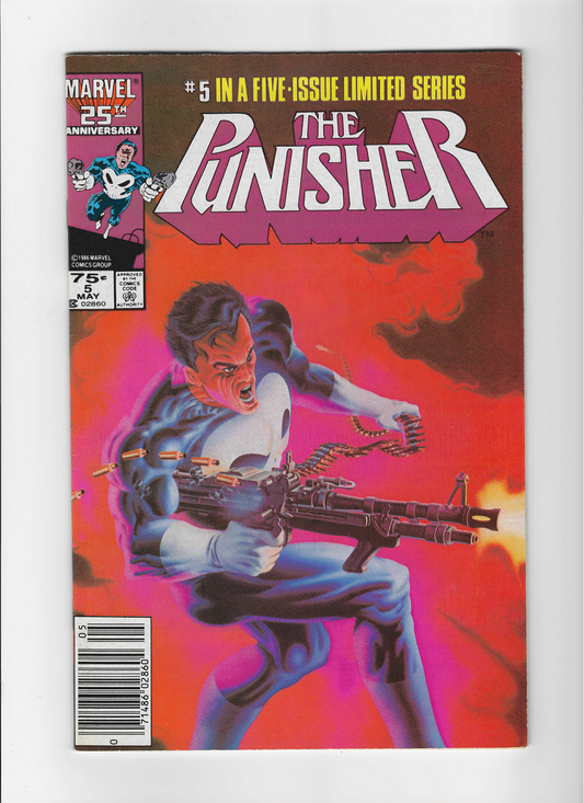 The Punisher, Vol. 1 #5