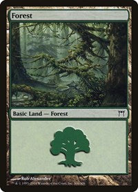 Forest (306) | Champions of Kamigawa