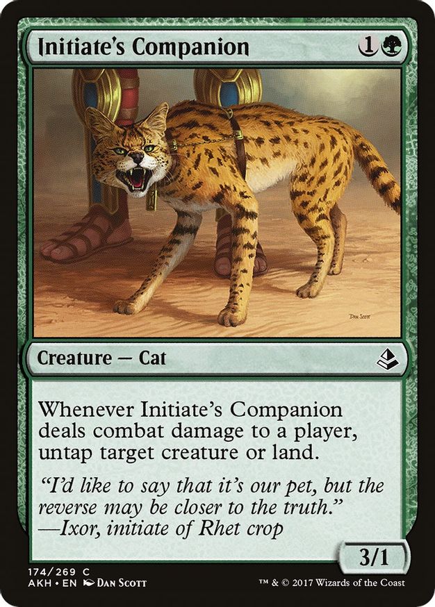 Initiate's Companion | 174 | Amonkhet