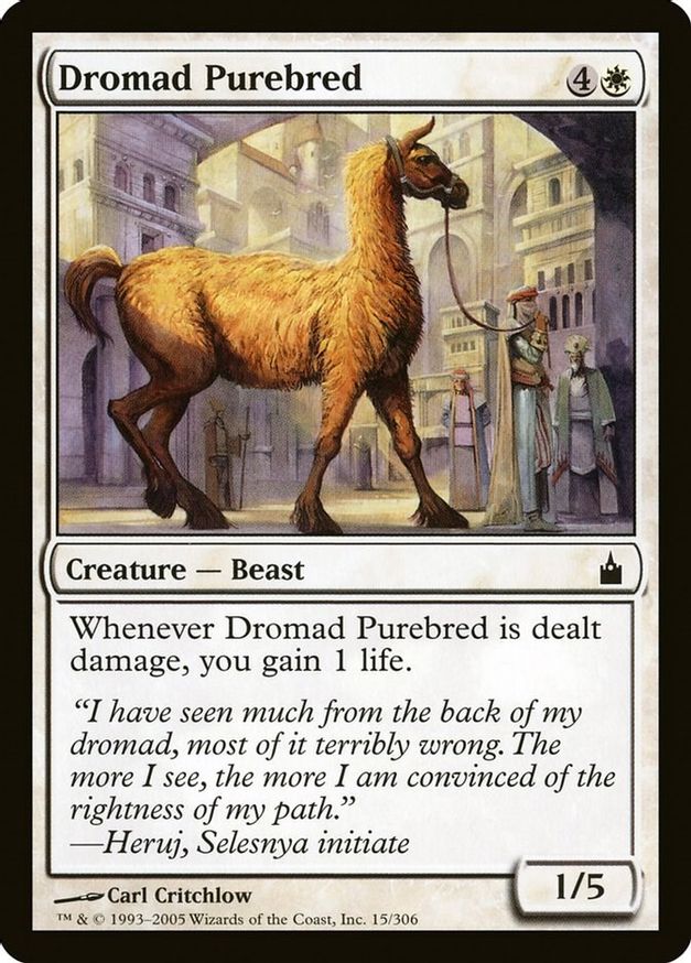 Dromad Purebred | 15 | Ravnica: City of Guilds