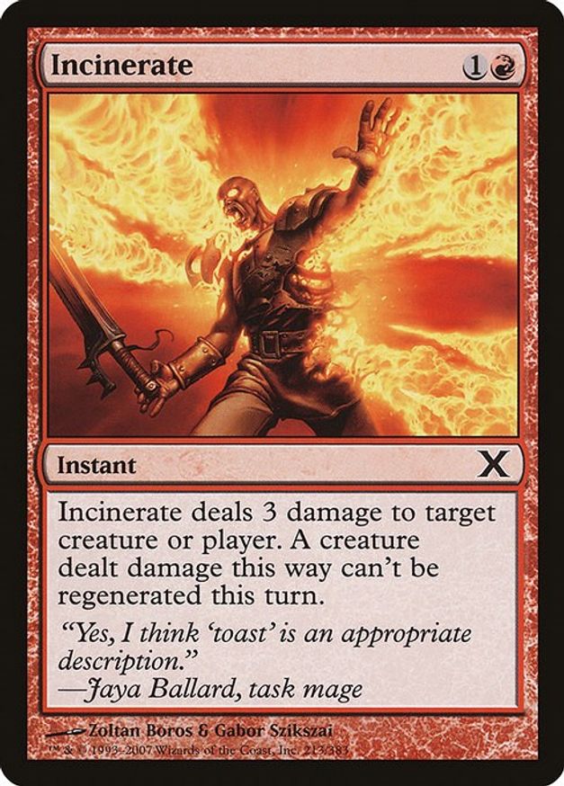 Incinerate | 213 | 10th Edition