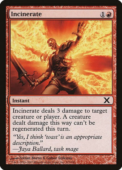 Incinerate | 213 | 10th Edition
