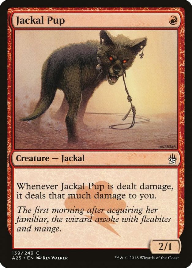 Jackal Pup | 139 | Masters 25