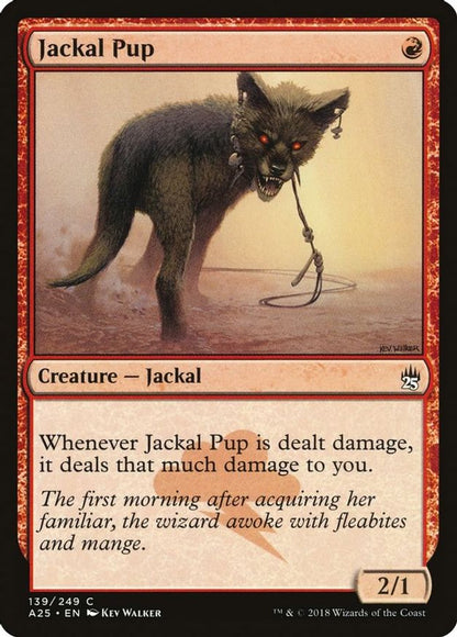 Jackal Pup | 139 | Masters 25