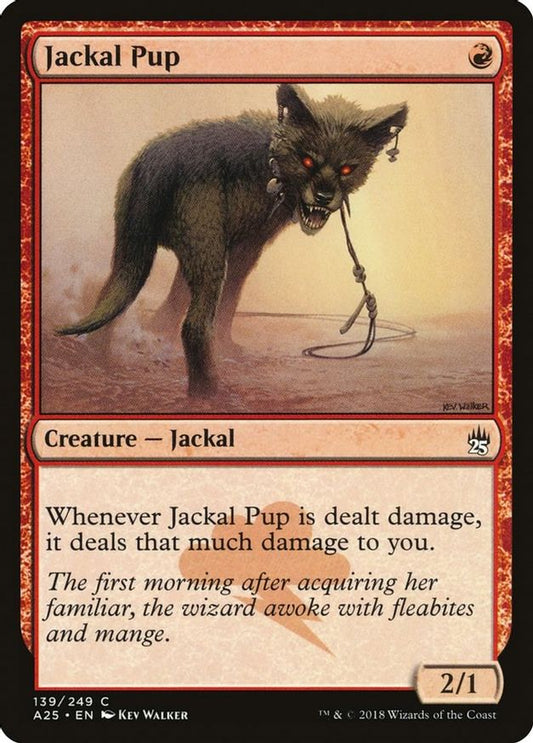 Jackal Pup | 139 | Masters 25