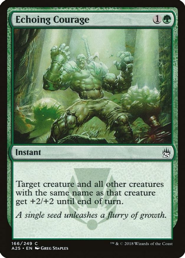 Echoing Courage | 166 | Masters 25