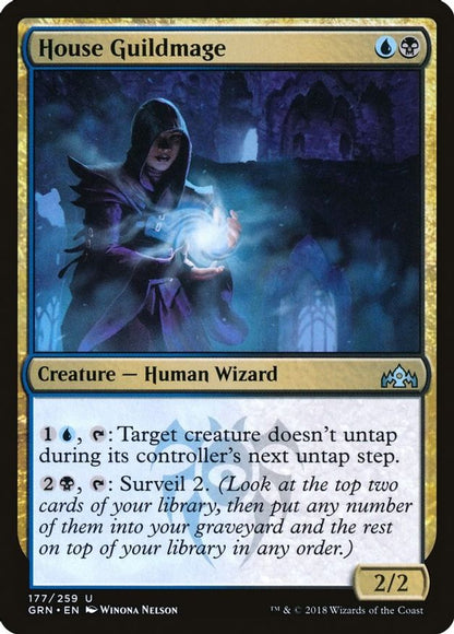 House Guildmage | 177 | Guilds of Ravnica