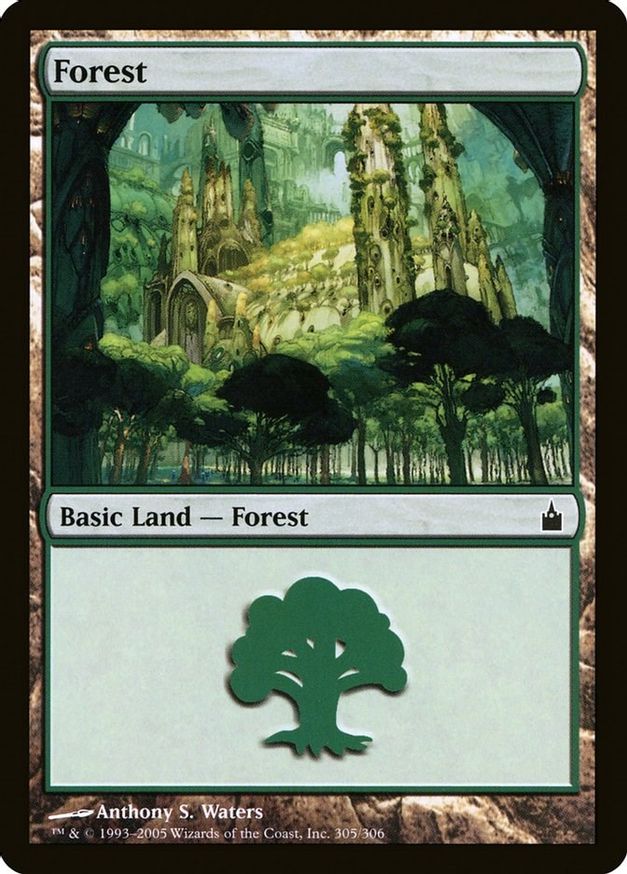 Forest (305) | Ravnica: City of Guilds