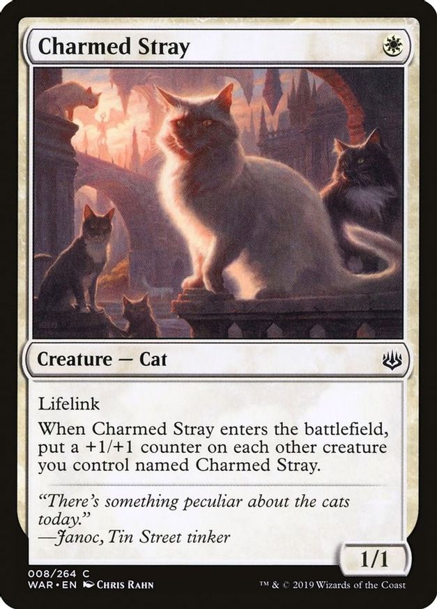 Charmed Stray | 8 | War of the Spark