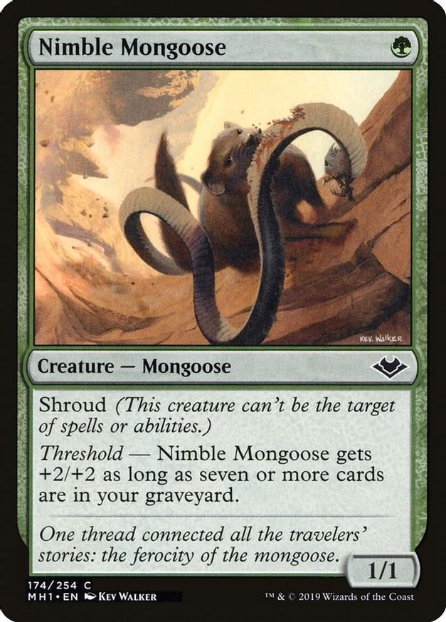 Nimble Mongoose | 174 | Modern Horizons