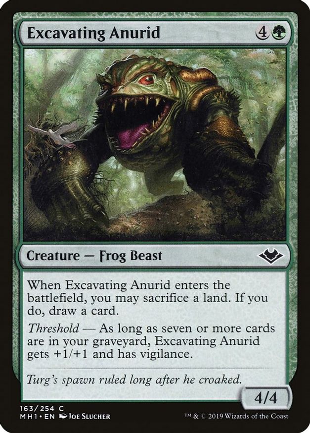 Excavating Anurid | 163 | Modern Horizons