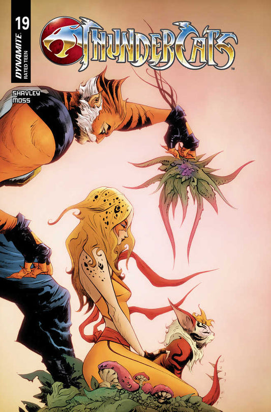Thundercats #19 Cover C Lee & Chung
