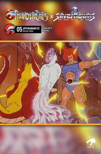 Thundercats X Silverhawks #5 Cover E - ANIMATION ART VAR