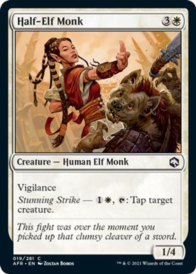 Half-Elf Monk | 19 | Adventures in the Forgotten Realms
