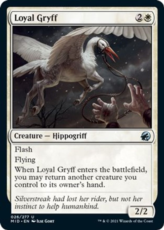 Loyal Gryff | 26 | Innistrad: Midnight Hunt
