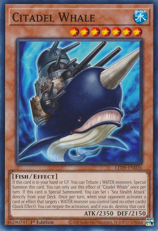 Citadel Whale | LED9-EN026