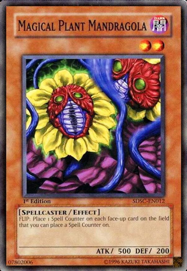 Magical Plant Mandragola | SDSC-EN012