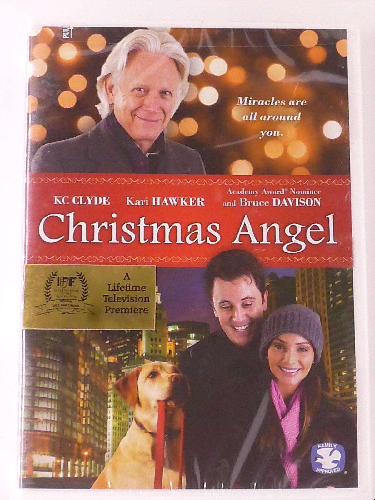 Christmas Angel (DVD, 2009) - K9