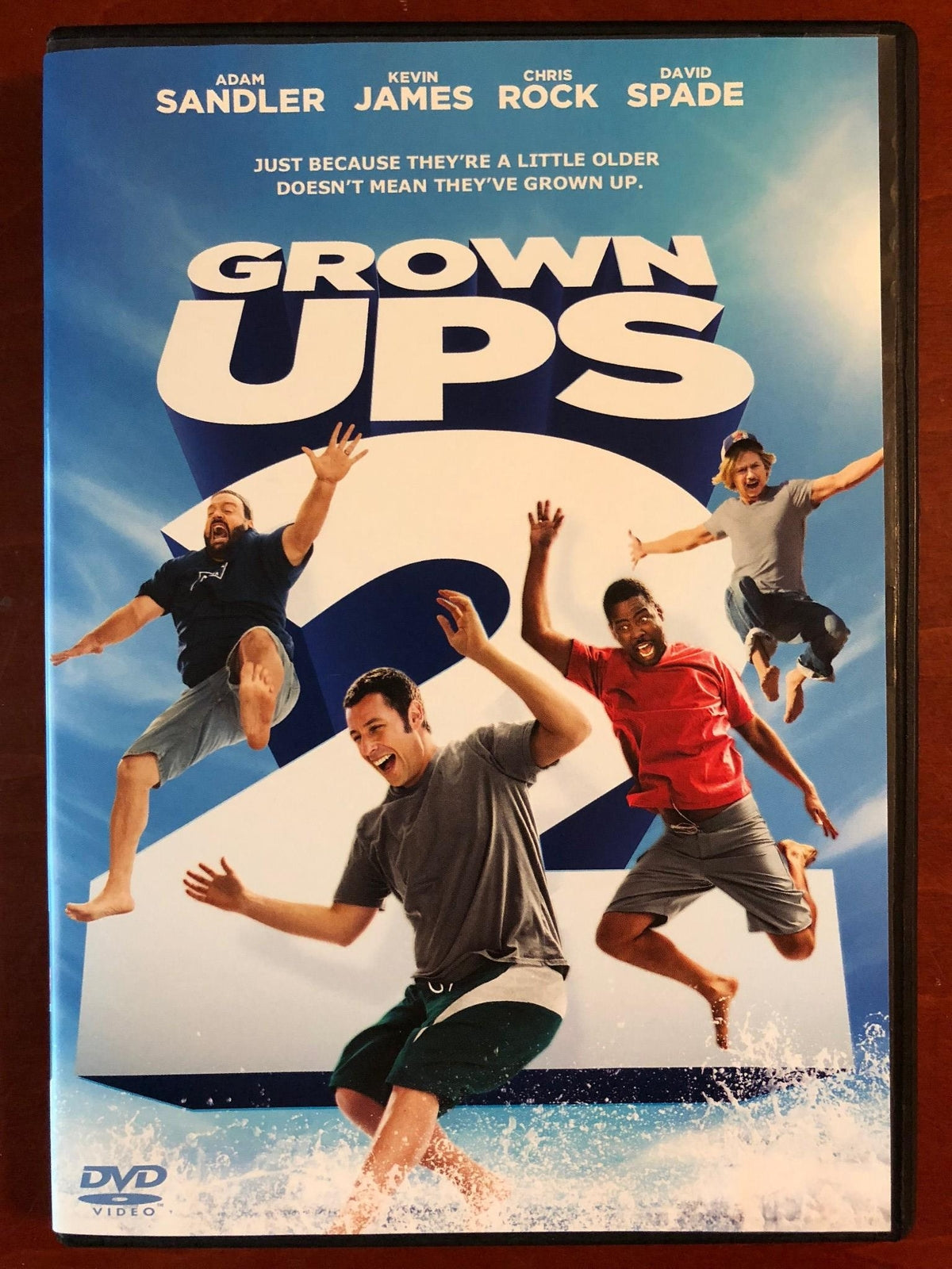 Grown Ups 2 (DVD, 2013) - L02