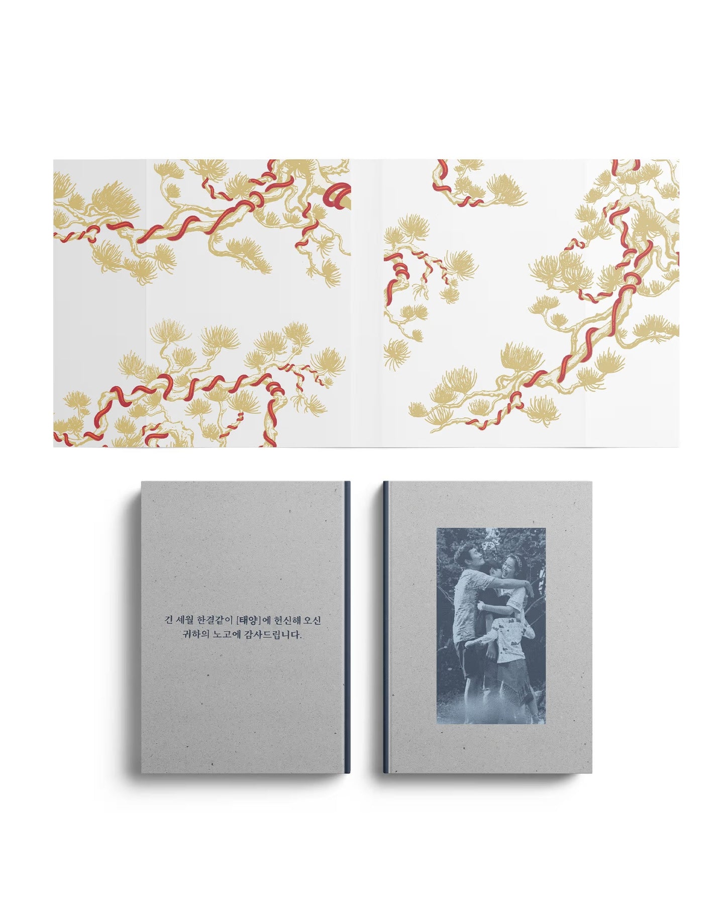 No Other Choice - Deluxe Limited Edition (4K Ultra HD + Blu-ray)