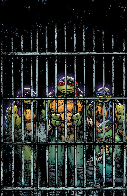 Teenage Mutant Ninja Turtles #11 1:10 (PRESALE 8/27/25)