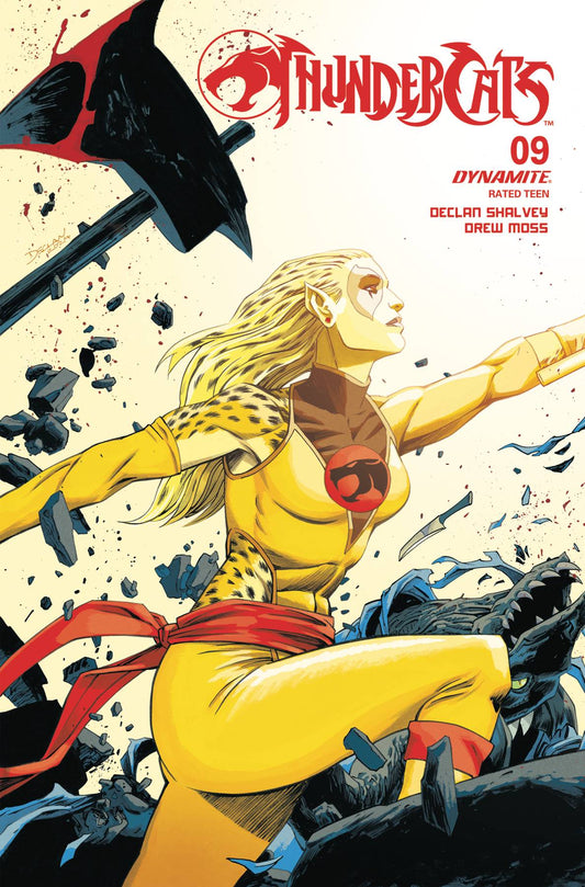 THUNDERCATS #9 CVR C SHALVEY (PRESALE 10/16/24)