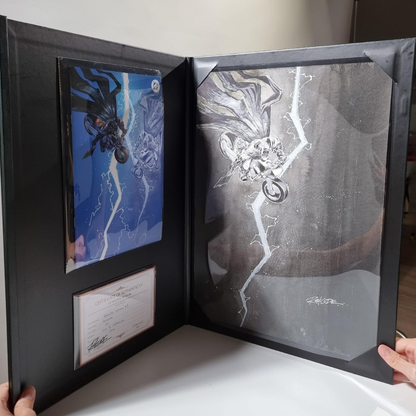 The C.O.A.T - Original Art Display Holder