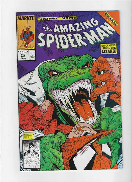 The Amazing Spider-Man, Vol. 1 #313