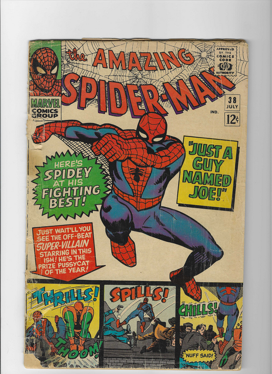 The Amazing Spider-Man, Vol. 1  #38