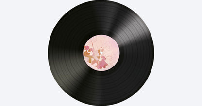 GRIS/Neva Collector's Edition - GameStop Exclusive - Nintendo Switch