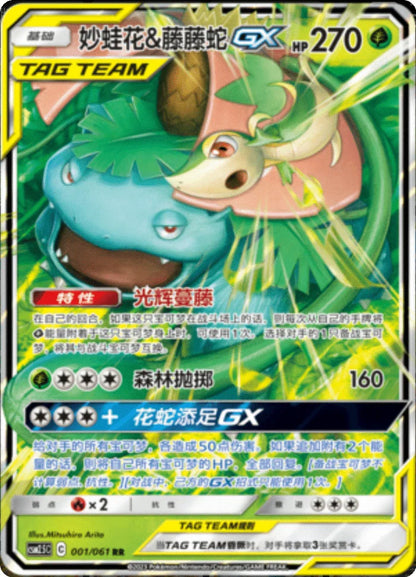 (S-Chinese) Pokémon TCG: Tag Team Card (Select Variant)