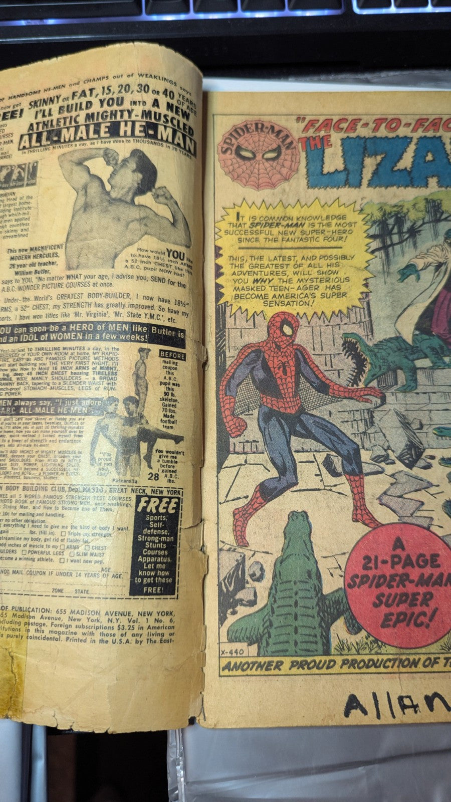 The Amazing Spider-Man, Vol. 1 #6 - Pin up intact