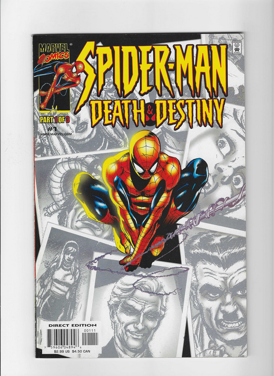 Spider-Man: Death & Destiny  #1